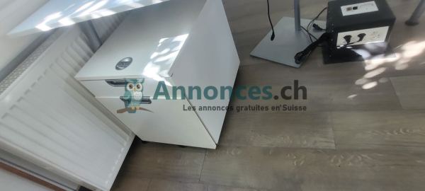Caisson de bureau à tiroirs sur roulettes (marque IKEA)