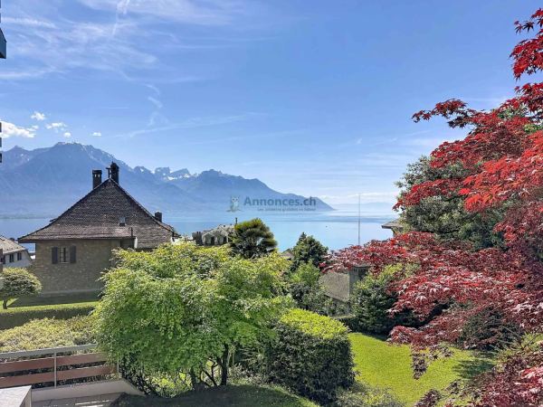 Bel appartement traversant de 4,5 pièces avec terrasse et jardin