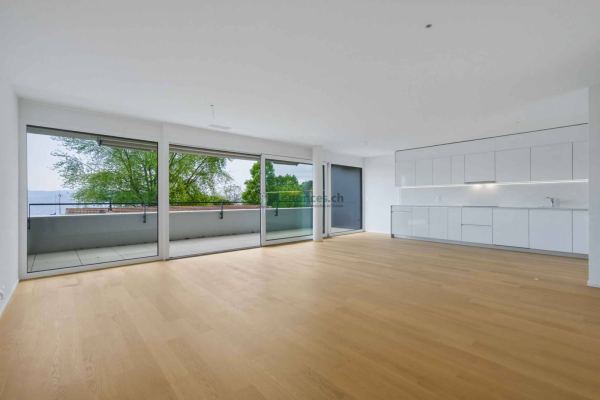 Appartement neuf - 4.5 pièces traversant avec 2 balcons - Vue lac