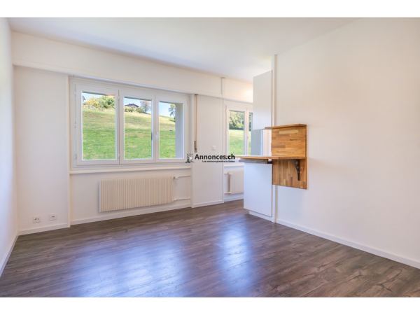 Appartement de 1 pièce entièrement rénové