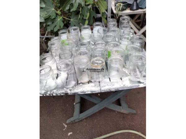 Bocaux en verre occasion