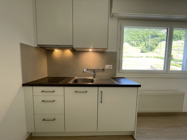 Appartement de 1 pièce en rénovation - Arvel 18