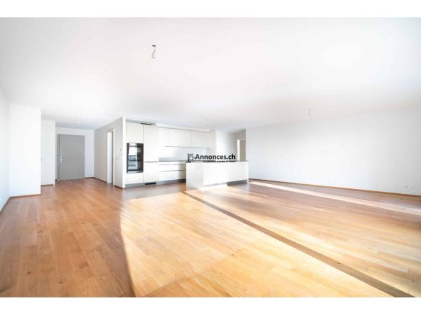 Magnifique appartement de 3,5 pièces proche du lac