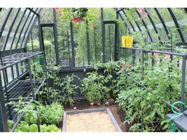 Terrain agricole potager lopin toit jardin sur Genève serre
