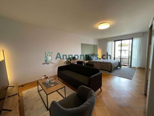 Élégant studio 30 m² • 1 pièce au centre de Genève
